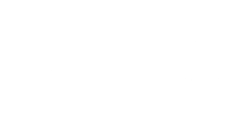 Holospet